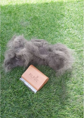 Customer photo review of Brosse Anti-Poils Chien, Chat, Cheval, Lapin | Original | Pilpoil®