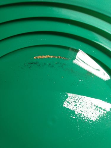 Customer photo review of 5 Lb. Rich Gold Paydirt Unsearched Concentrate BOGO