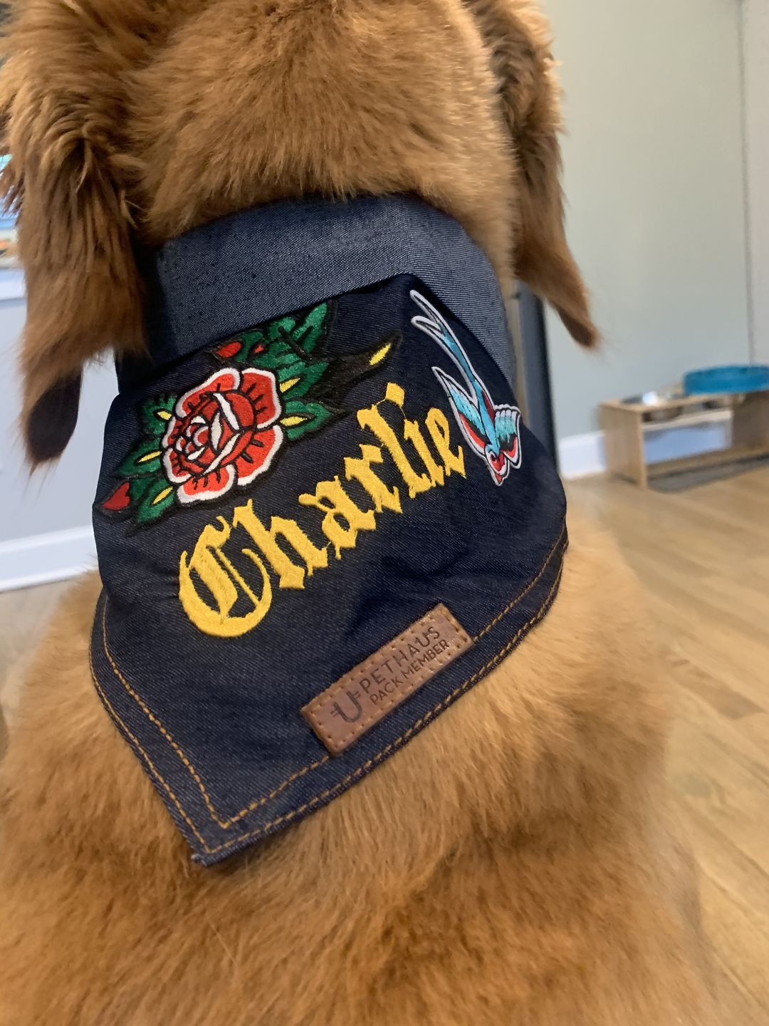 Customer photo review of Custom Text Denim Dog Bandana