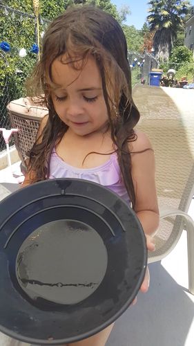 Customer photo review of *BOGO* Pioneer '2 OUNCE NUGGET HUNT' - Gold Panning Paydirt Concentrate