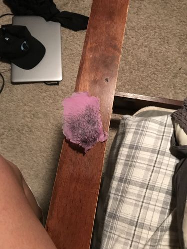 Customer photo review of At-Home Signature Series Hair Removal Wax