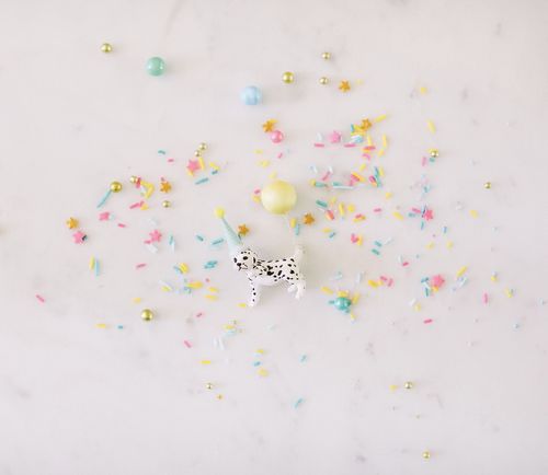 Customer photo review of TAN LINES