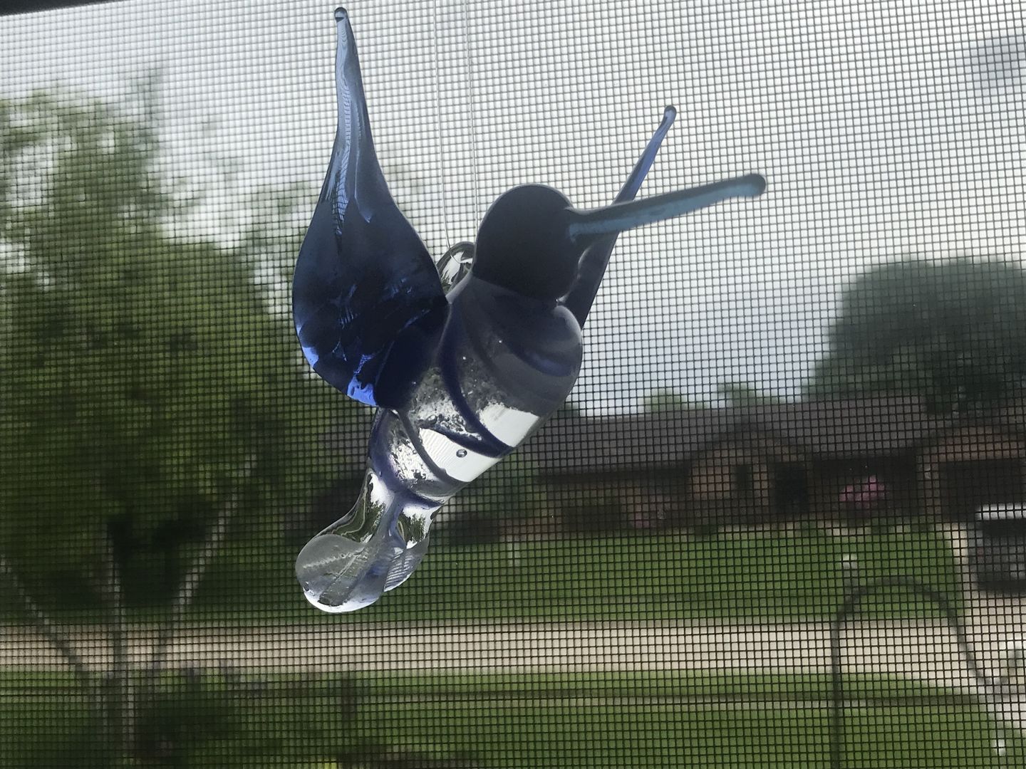 Customer photo review of Blue Glass Hummingbird with Infused Ash