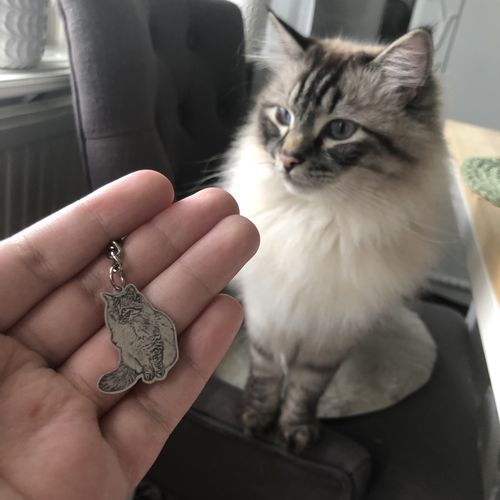 Customer photo review of Silvercut™ Keychain