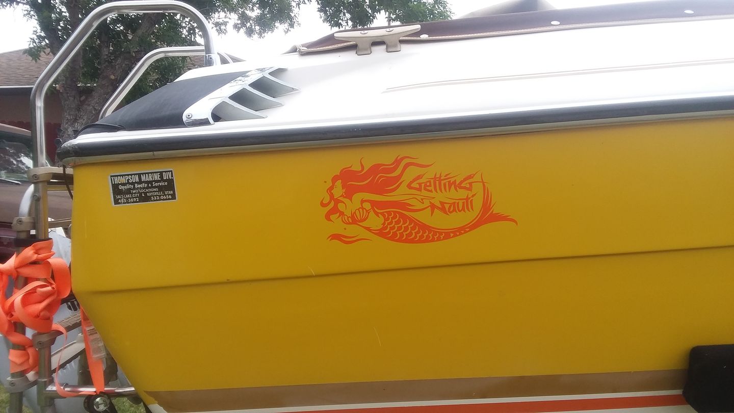 Customer photo review of Mermaid Vinyl Decal