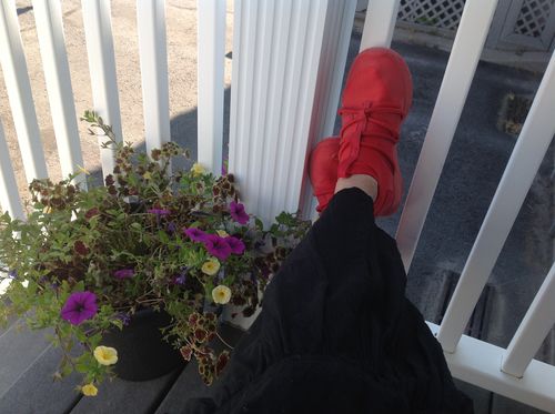 Customer photo review of The Rbutus EL