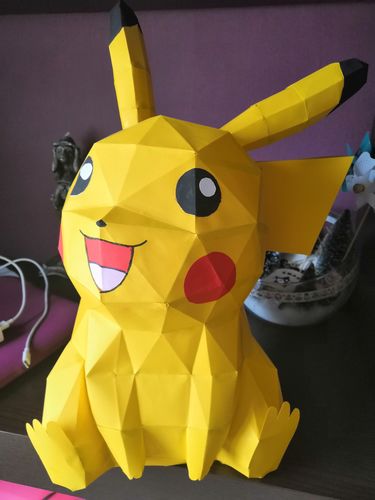 Customer photo review of Pikachu