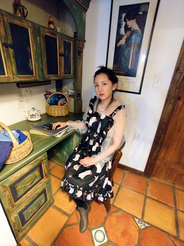 Customer photo review of Alice In Wonderland Outfits