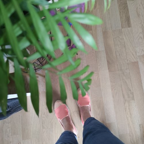 Avis photo d'un client sur Espadrilles Exclusive Femme
