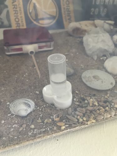Customer photo review of AntKit Water Feeder