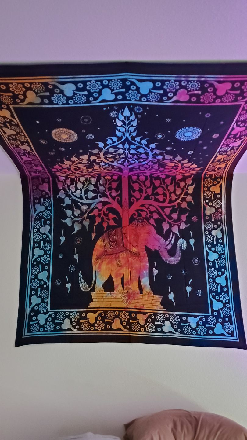 Customer photo review of Indian Dreams Tie Dye Tapestry