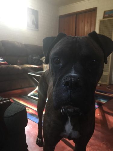 T-shirt quilt by Kimberly from AZ