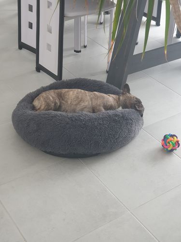 Customer photo review of Lit Apaisant Comfy® |  Pour Chien et Chat