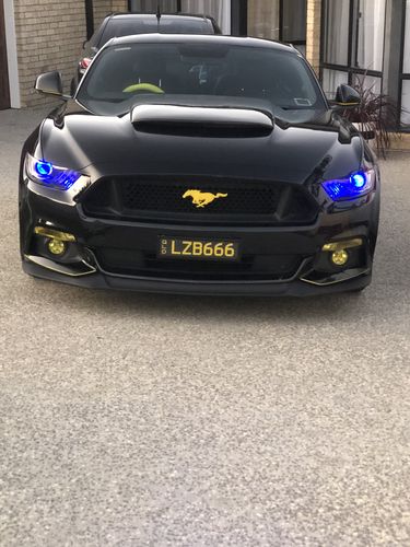 Customer photo review of Spectrum 2in1 LED Headlight Globes