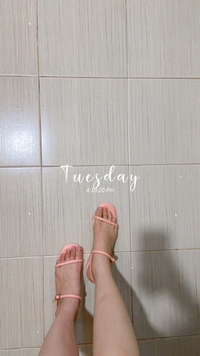Customer photo review of Anna Old Rose