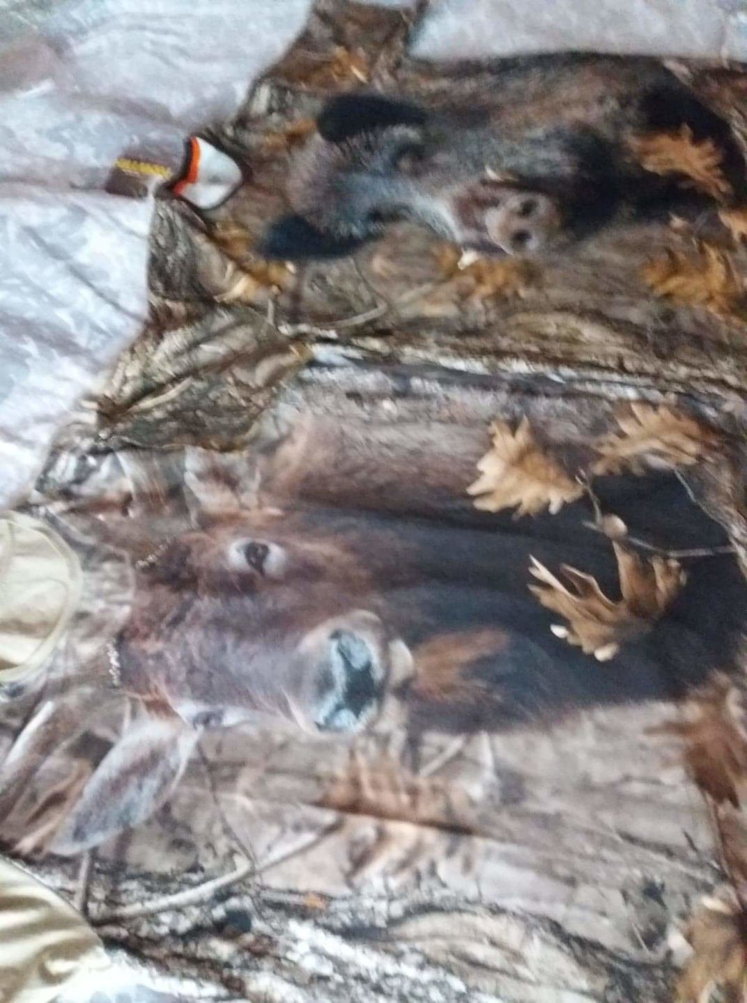 Customer photo review of Tricou Vanatoare din Bumbac Porc Salbatic DGT -  Maneca Scurta