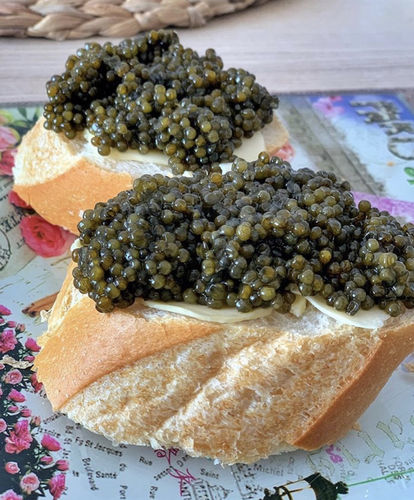 Customer photo review of Kaluga Sturgeon Caviar - (River Beluga)