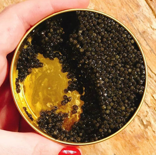 Customer photo review of American Paddlefish Caviar