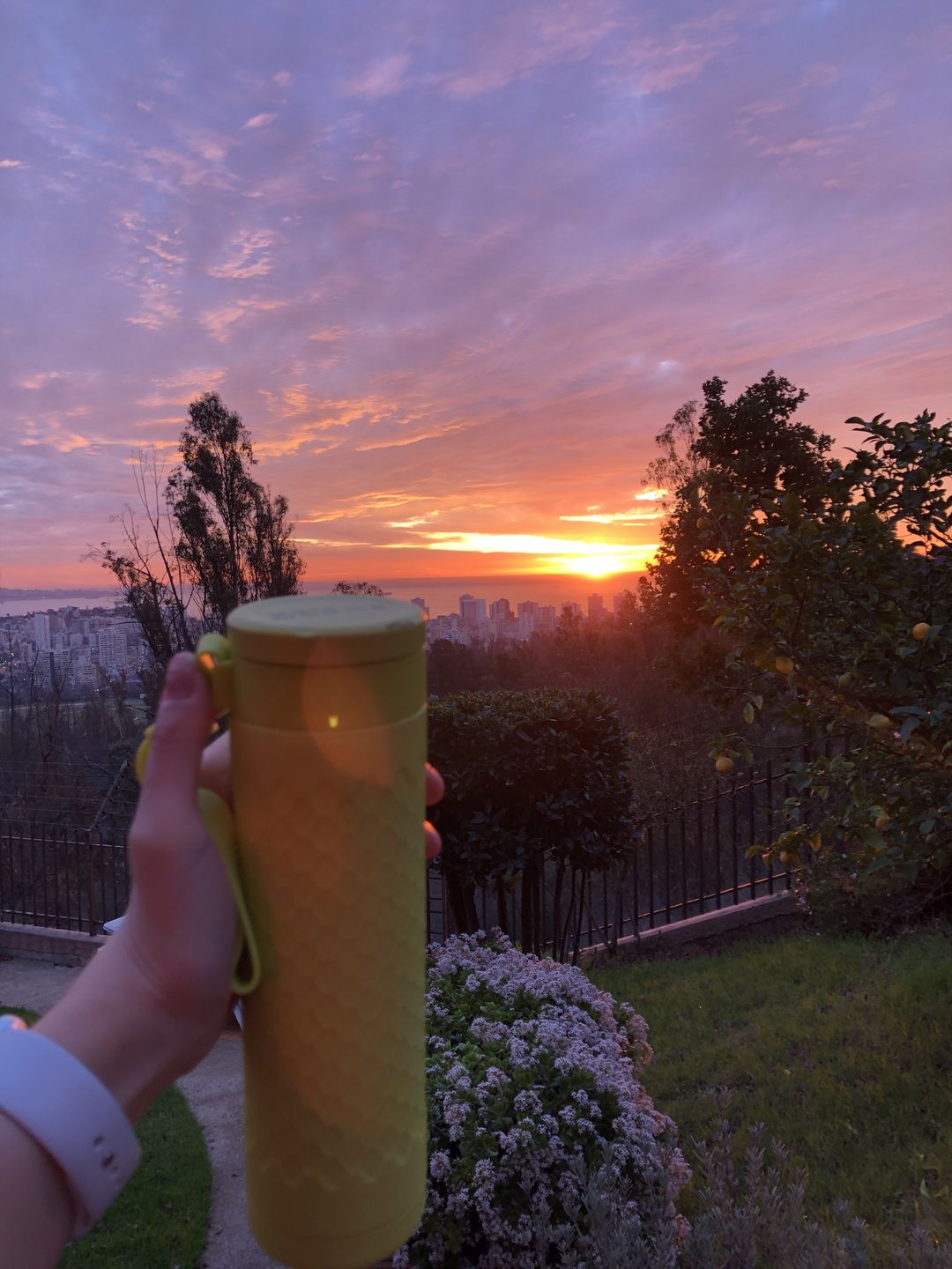 Customer photo review of Verde Menta Chip