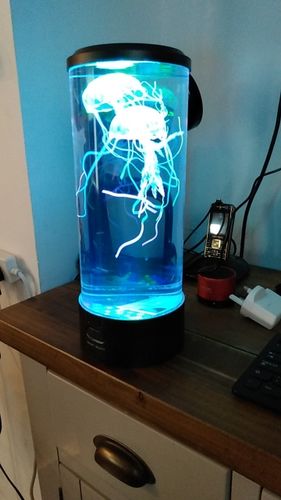 Customer photo review of Jellyfish Lamp