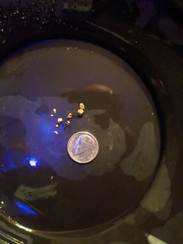 Customer photo review of *BOGO* Pioneer '2 OUNCE NUGGET HUNT' - Gold Panning Paydirt Concentrate