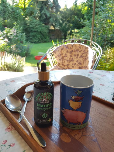 Customer photo review of Omega 3 Algenöl