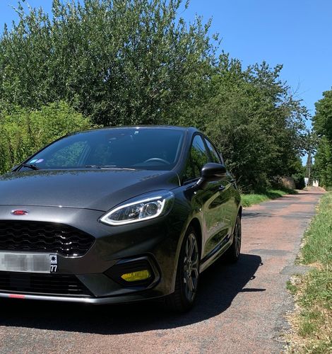 Customer photo review of Fiesta MK8 ST / ST Line Fog Light Armour