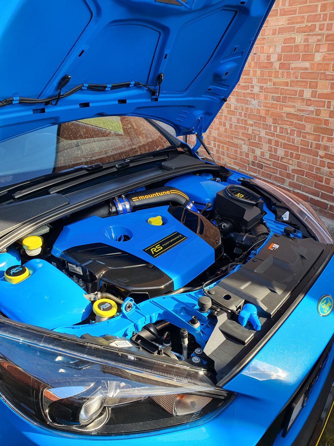 Customer photo review of Dipstick - Focus MK3 Petrol ST/ RS