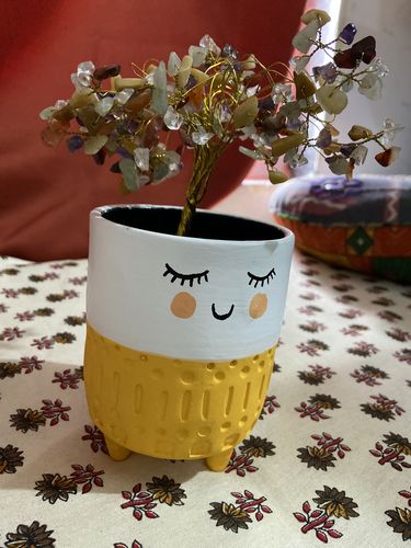 Customer photo review of Smiling Face Potted Planter