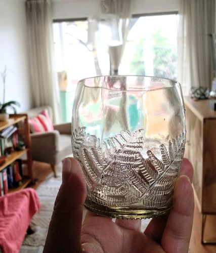 Customer photo review of Puyehue Mini