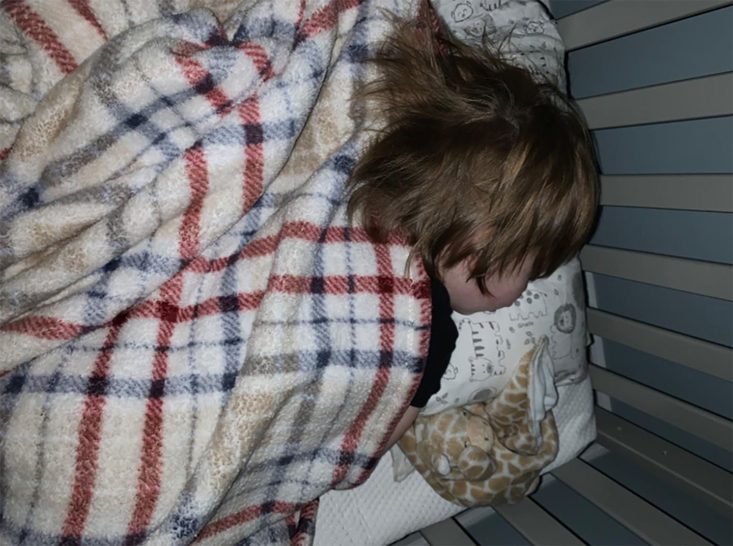 Customer photo review of Toddler Pillow with Cute Pillowcase