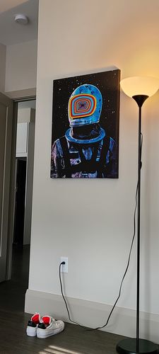 Customer photo review of Layers Canvas Set