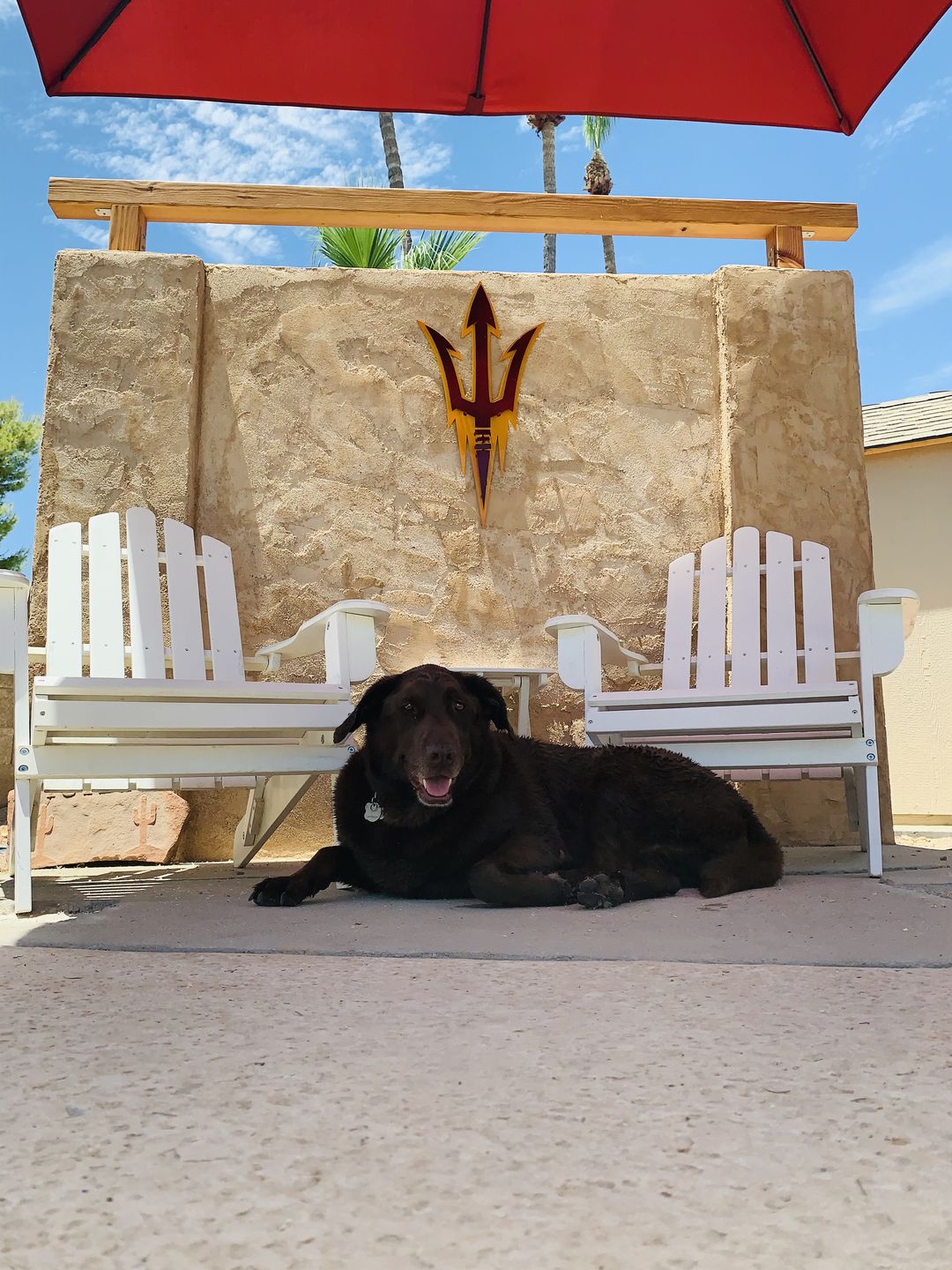 Customer photo review of Arizona State University Pitchfork 3D Vintage Metal Artwork