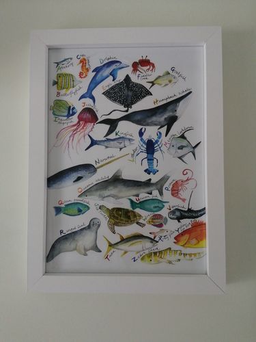 Customer photo review of The A-Z of Birds