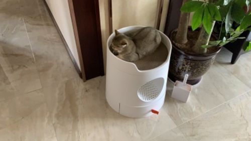 Customer photo review of Mayitwill XL Castle 2 in 1 Front-Entry Semi-Closed Cat Litter Box with Scoop