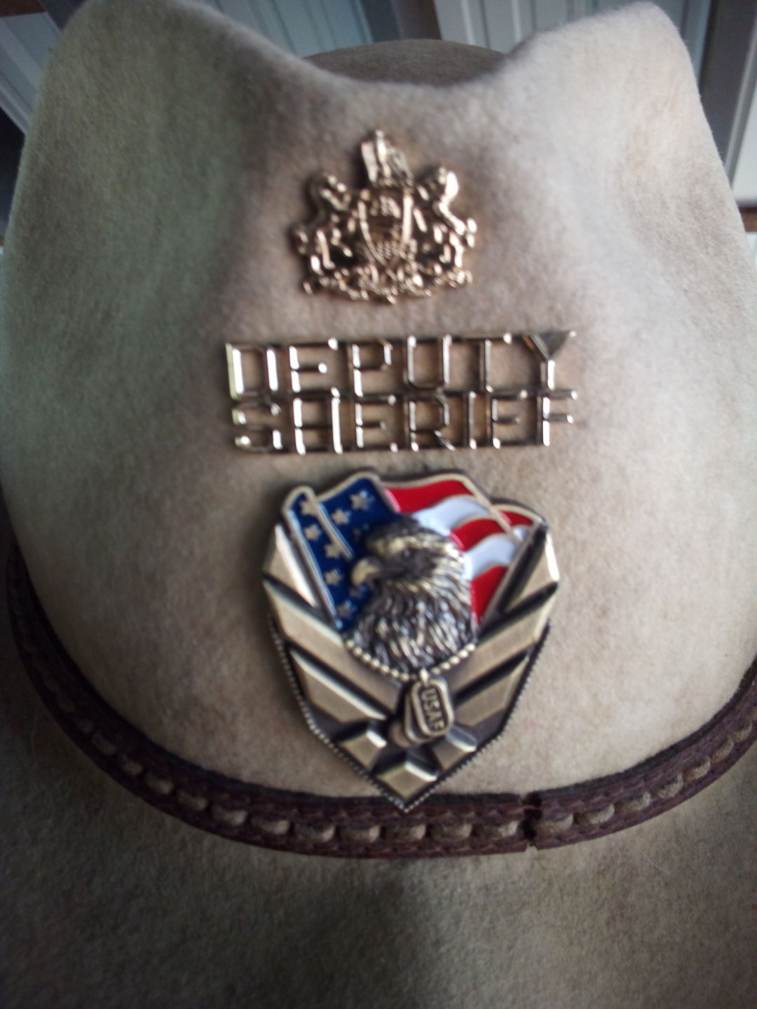 Customer photo review of US Air Force Veteran Pin