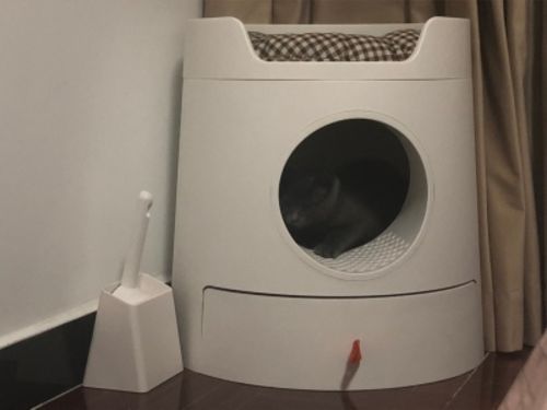 Customer photo review of Mayitwill XL Castle 2 in 1 Front-Entry Semi-Closed Cat Litter Box with Scoop