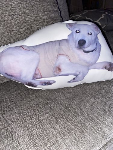 Customer photo review of Create A Custom Object Pillow