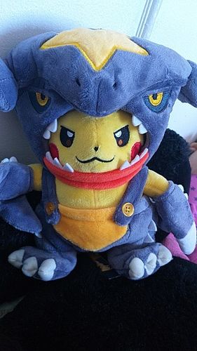 Customer photo review of Peluche Dragon<br> Pikachu Déguisé
