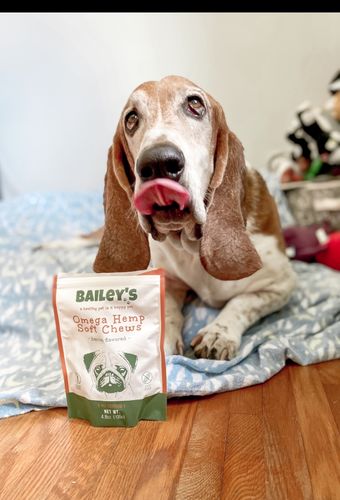 Customer photo review of Bailey's Omega Hemp Soft Chews - Bacon Flavored- 60 Count Bag
