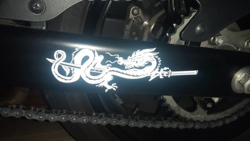 Customer photo review of Sticker Dragon<br> Automobile