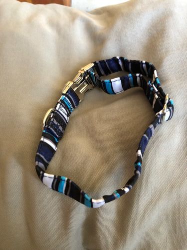 Customer photo review of Petyfy ™ Nylon Leash