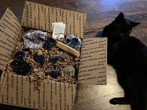 Customer photo review of @amethyst_hummingbird