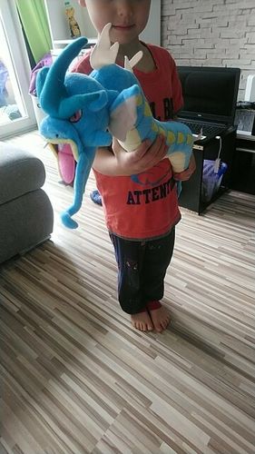 Customer photo review of Peluche Dragon Léviator