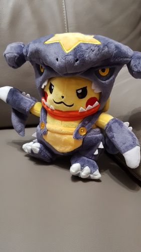 Customer photo review of Peluche Dragon<br> Pikachu Déguisé