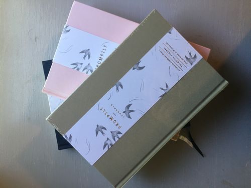 Customer photo review of Childhood History - Sage Green