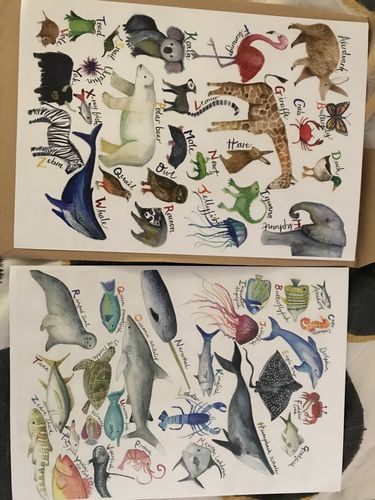 Customer photo review of The A-Z of Animals