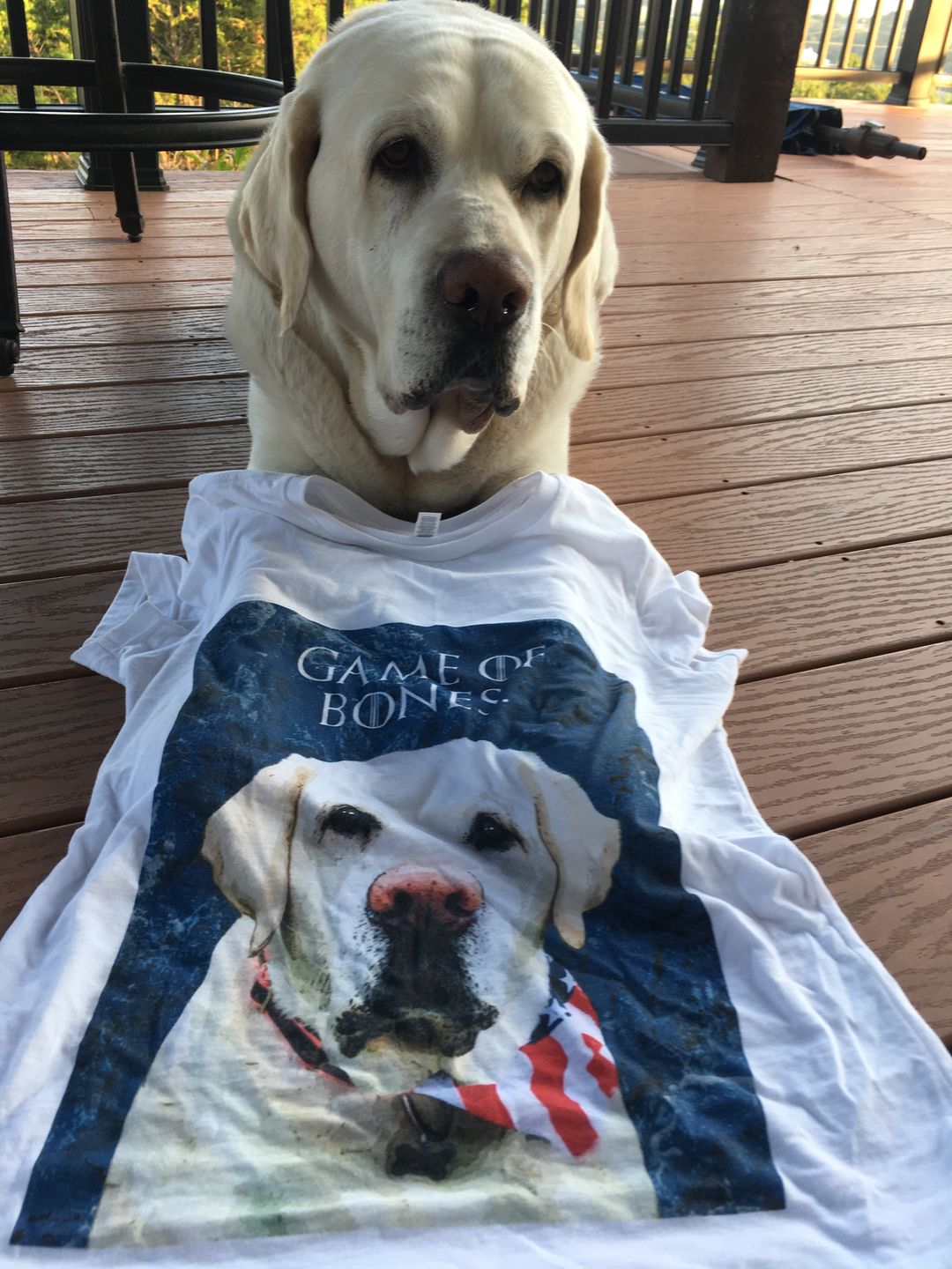 Customer photo review of Custom Pet Art Ladies Crew