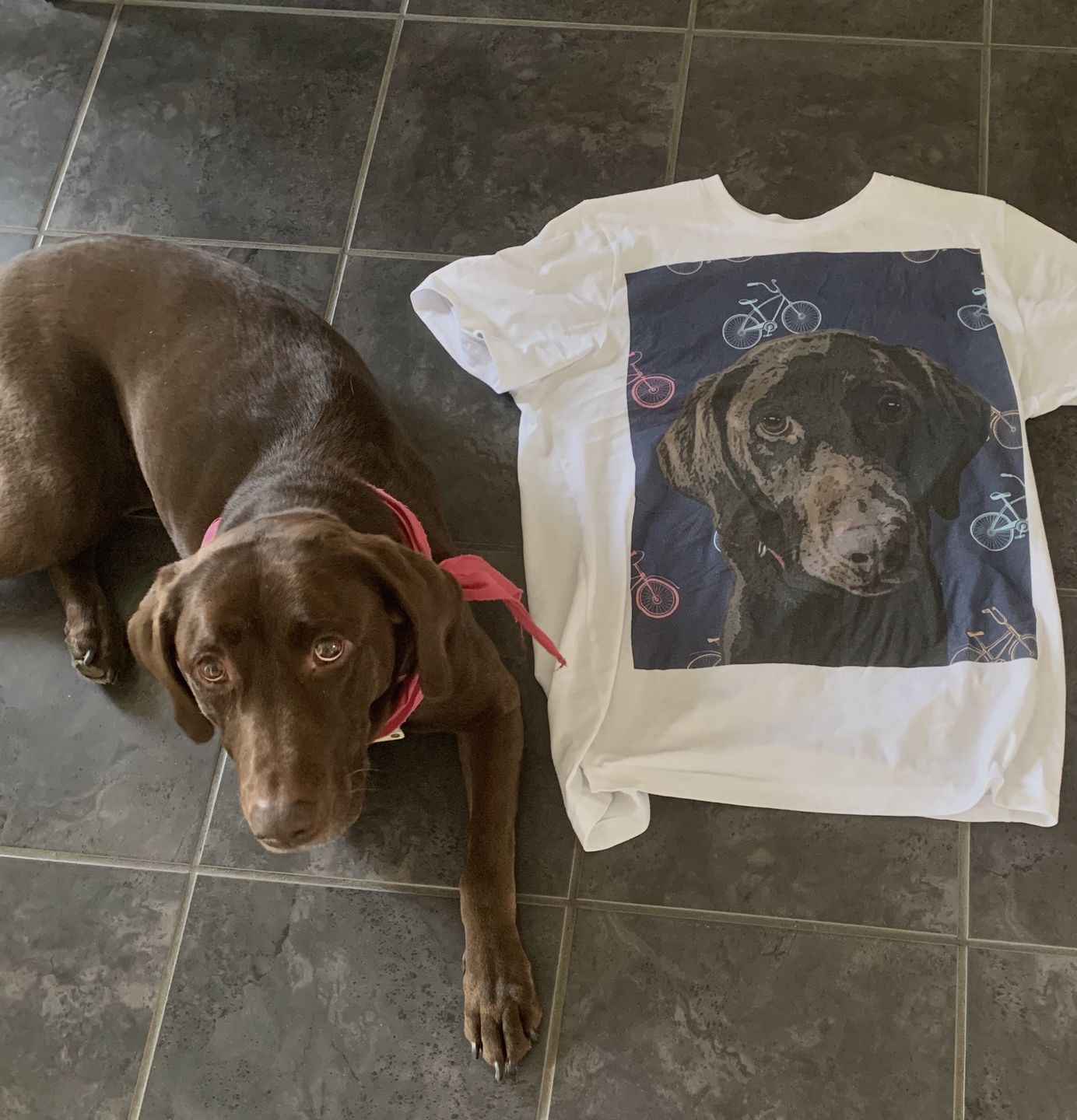Customer photo review of Custom Pet Art Ladies Crew