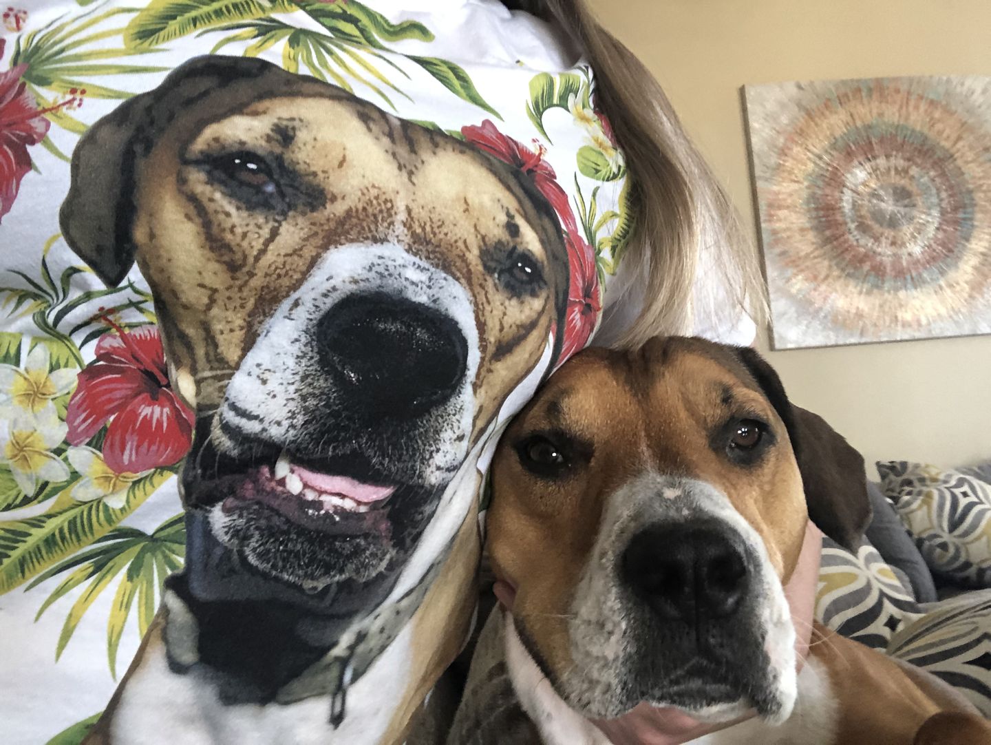Customer photo review of Custom Pet Art Ladies Crew